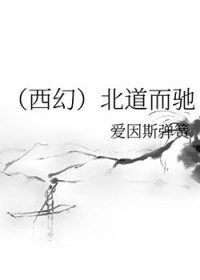 [西幻]北道而驰